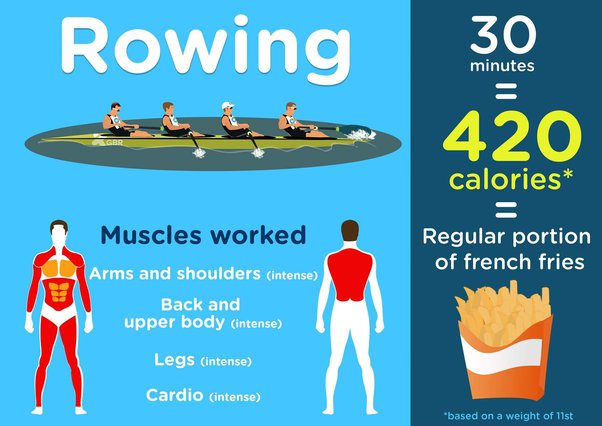 rowing machine calories per hour