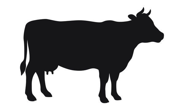 cow silhouette