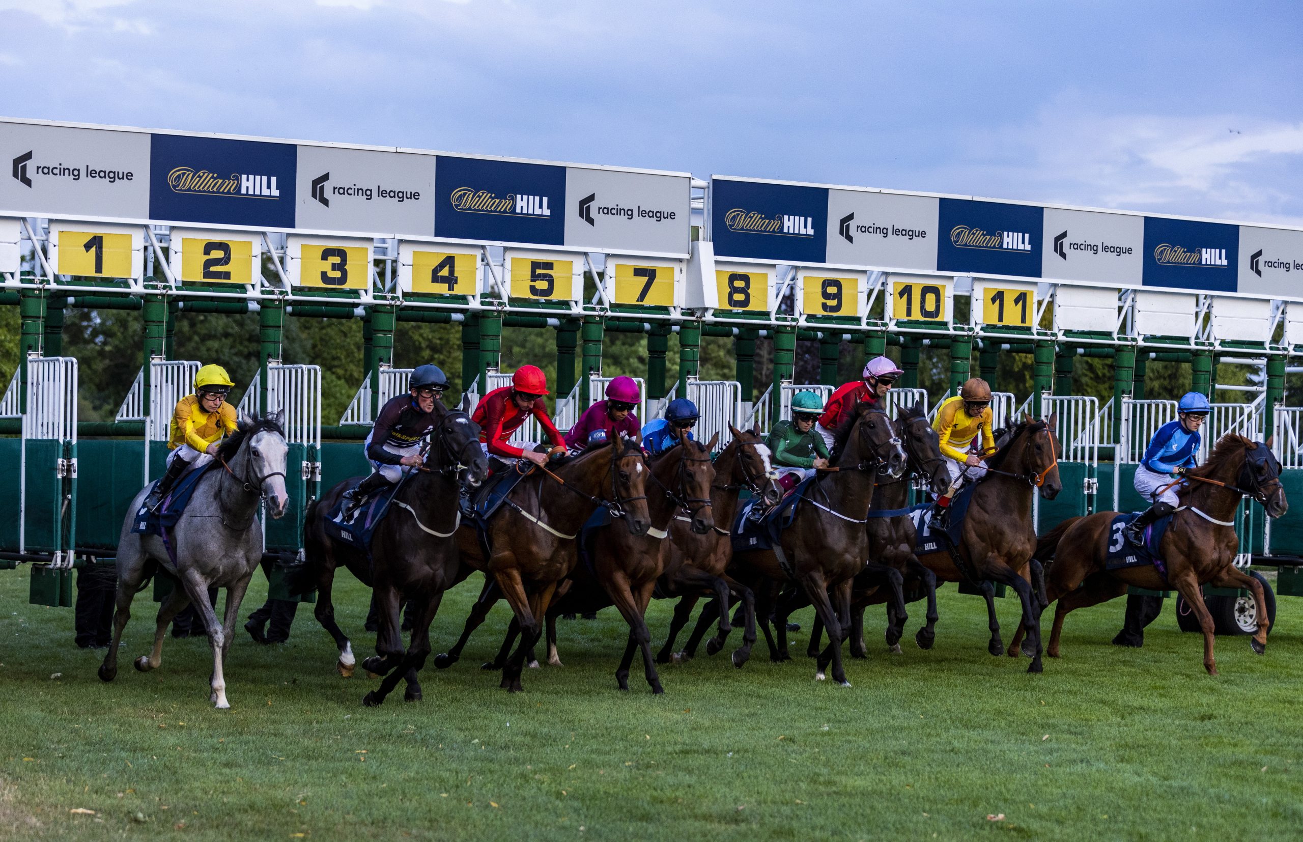 william hill live racing