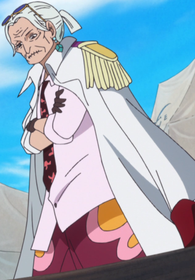 tsuru one piece