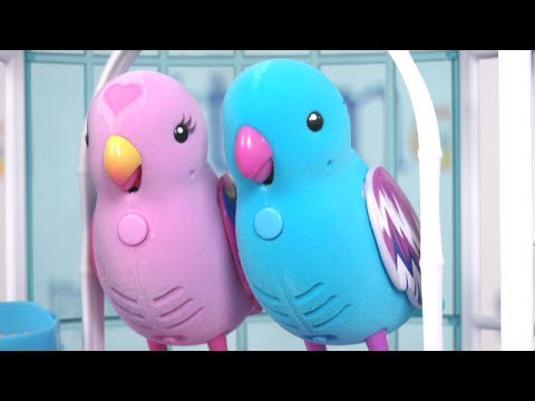 toy bird that repeats what you say