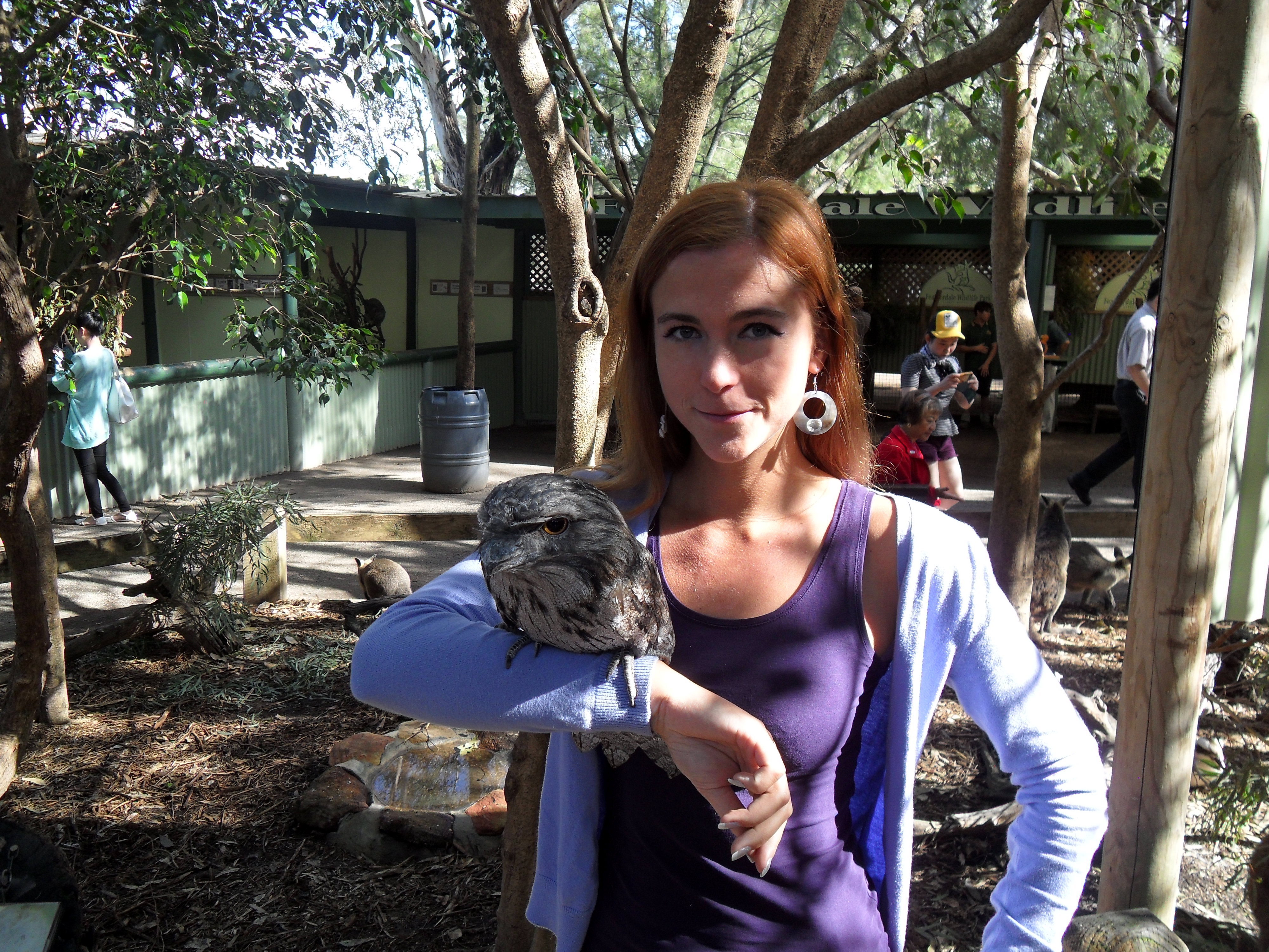 featherdale wildlife park reviews