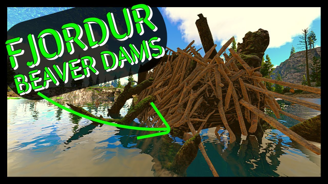 beaver dams fjordur