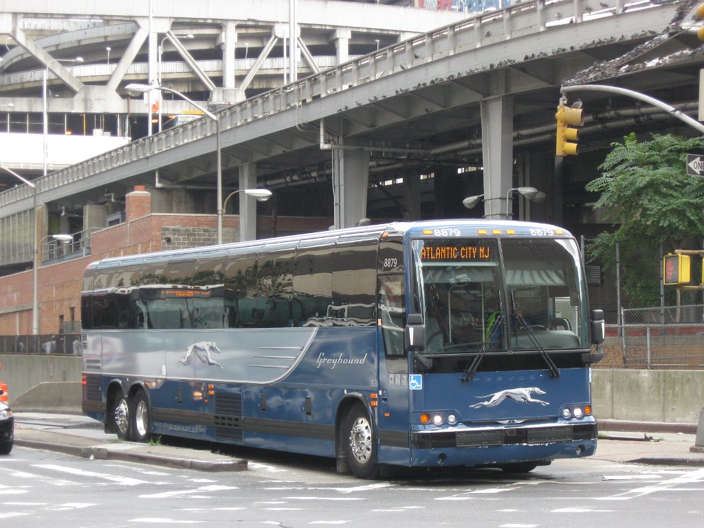 greyhound bu