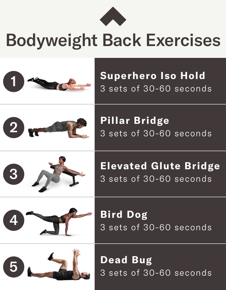 bodyweight back workout