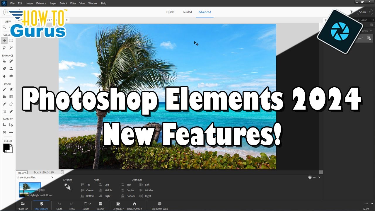 adobe photoshop elements 2024