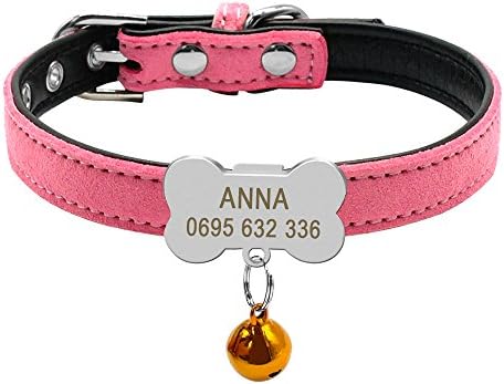 personalized puppy collars