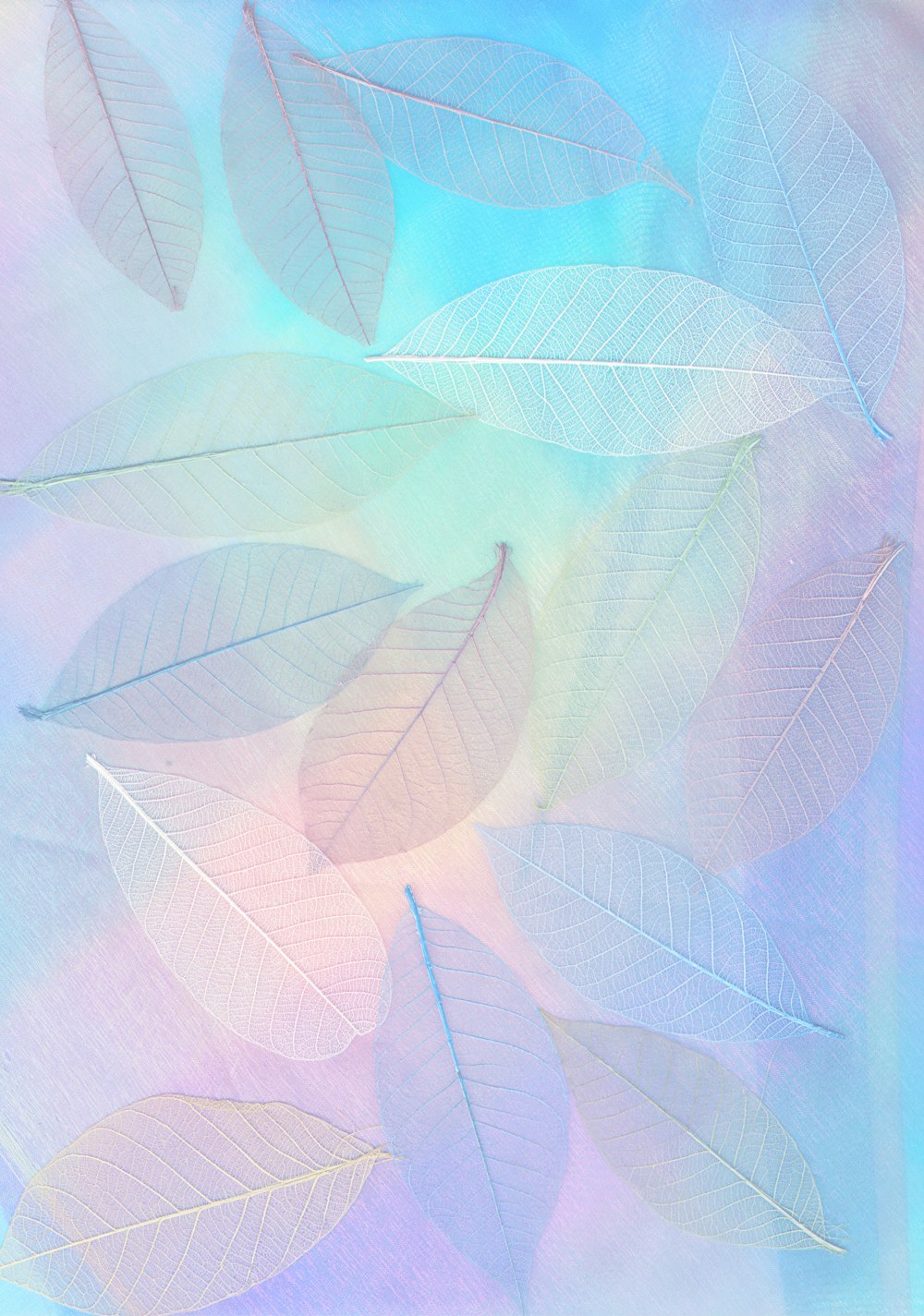 pastel aesthetic wallpaper