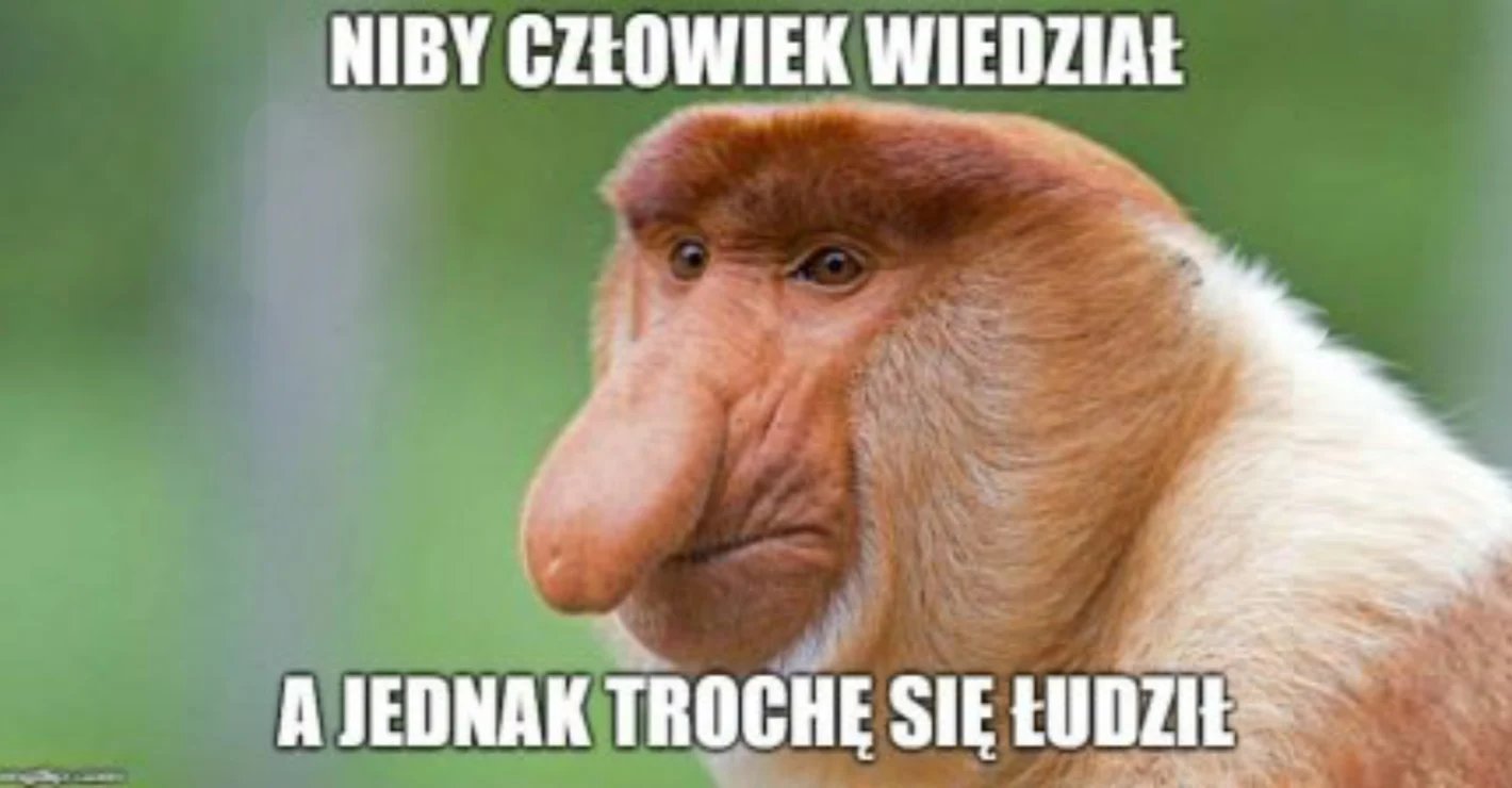 proboscis monkey memes