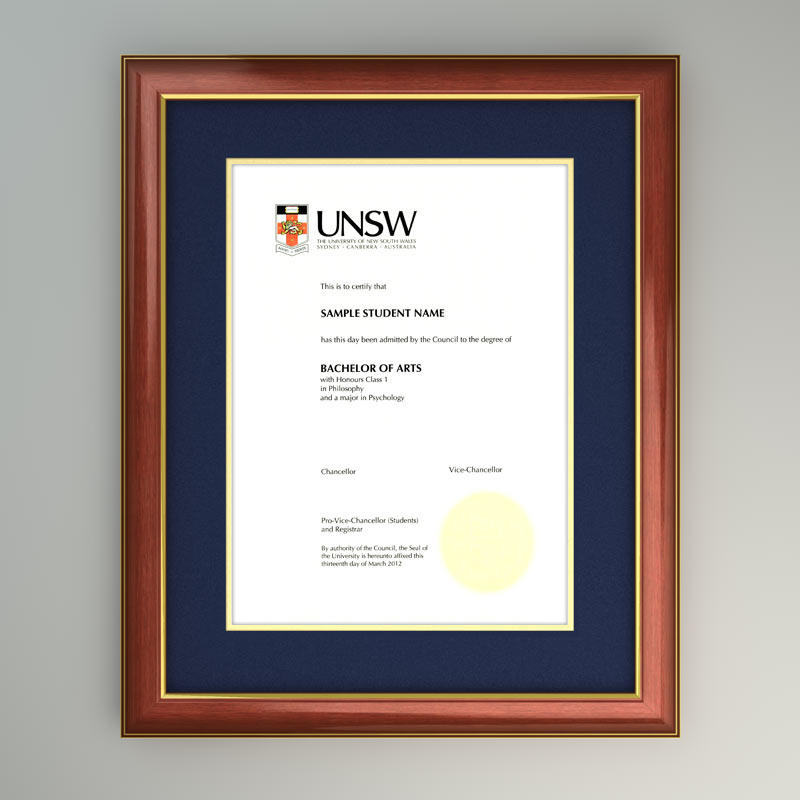 unsw honours