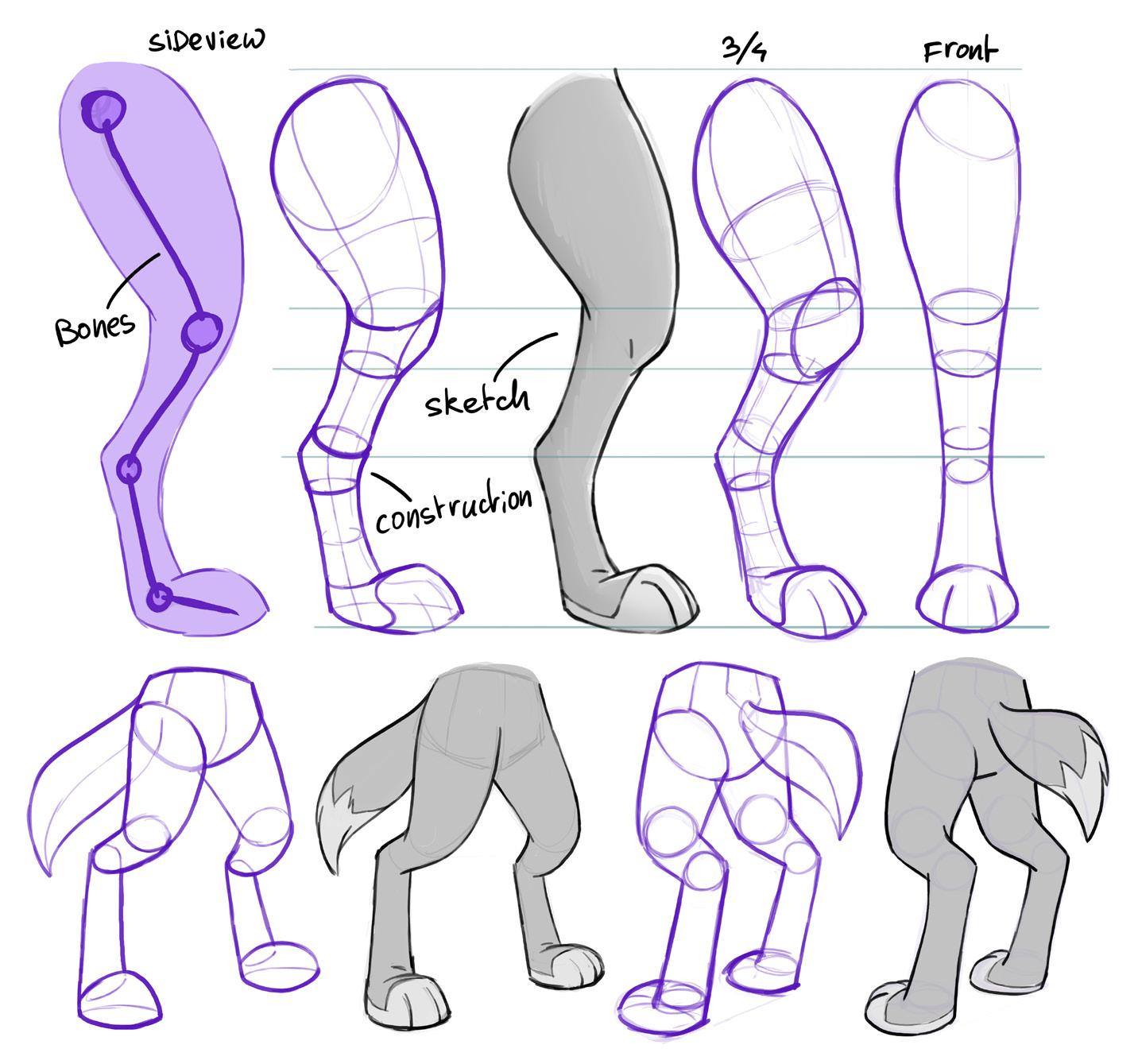 how to draw anthro