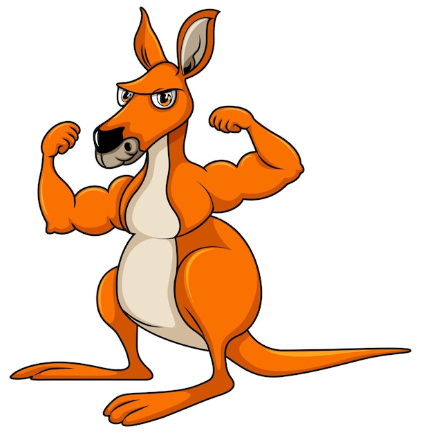 cartoon pictures of kangaroos