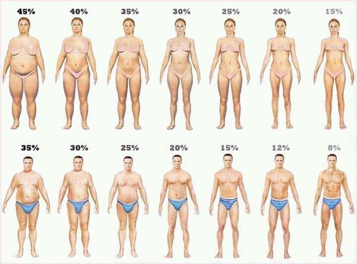 body fat calculator reddit