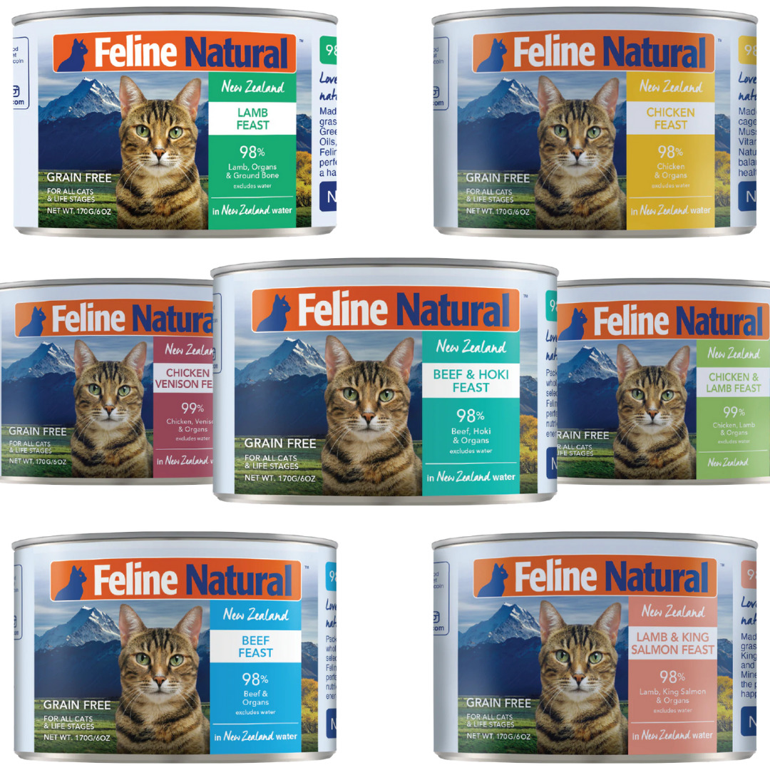 feline natural wet cat food