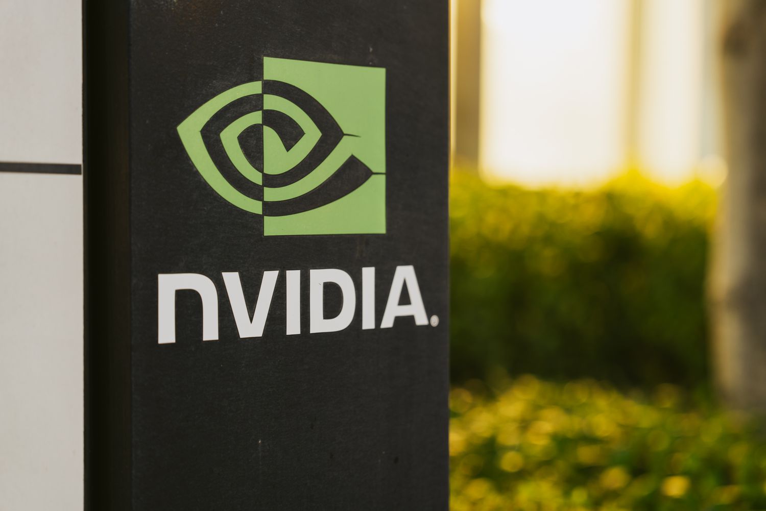 nvidia earnings call