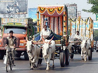 oxen meaning in malayalam