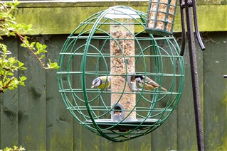 anti pigeon bird feeder