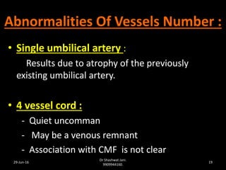 umbilical cord abnormalities ppt