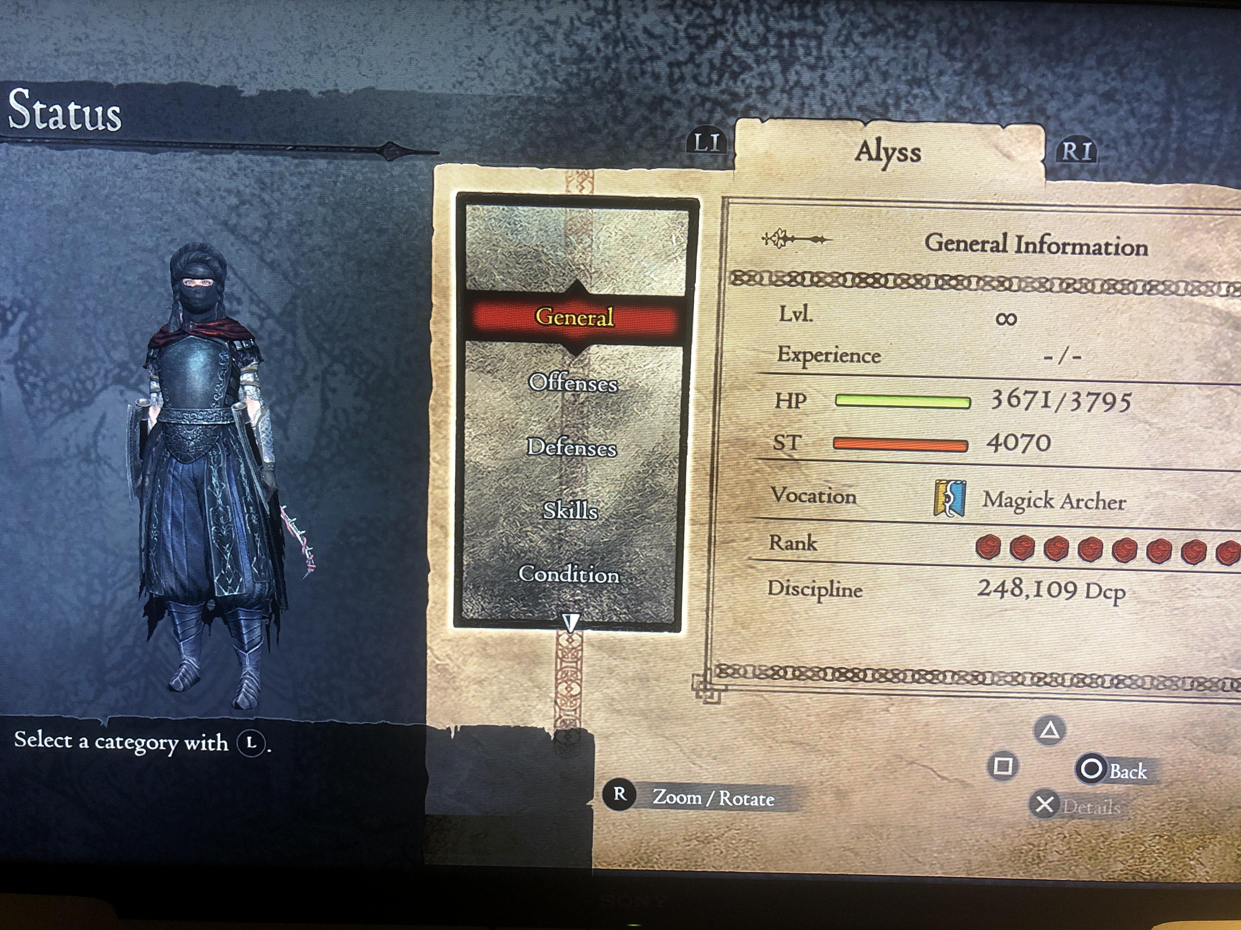 dragon dogma max level