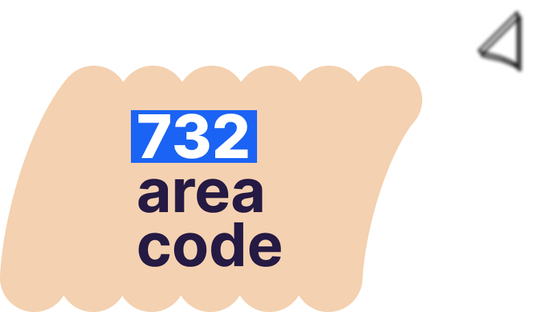 1 732 which country code