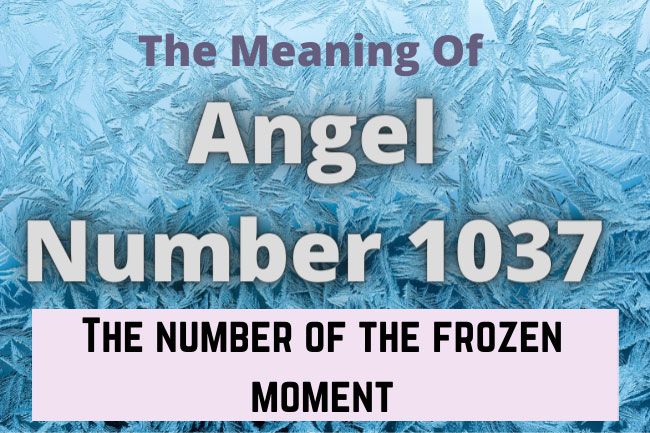 1037 angel number