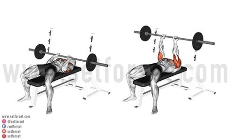 exercises with a tricep bar