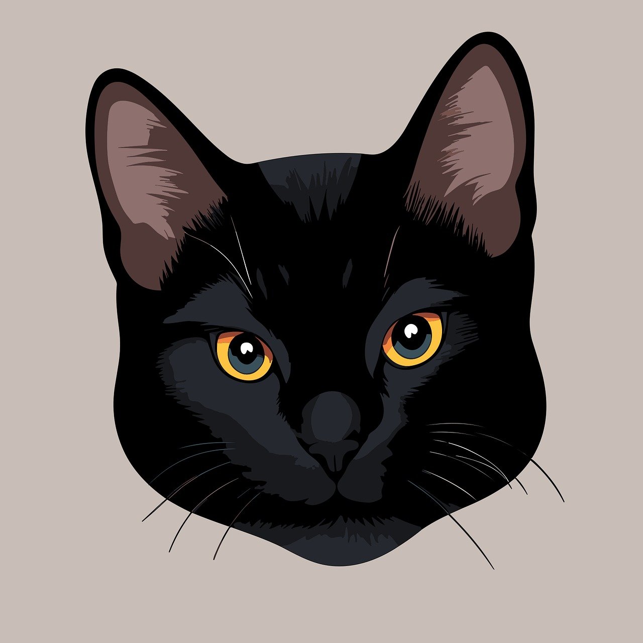 cat vector graphics