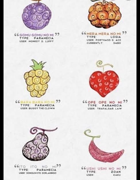 3 types of devil fruit