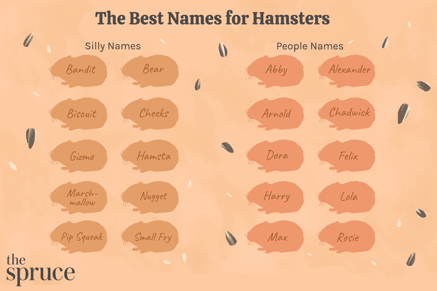 cute female hamster names