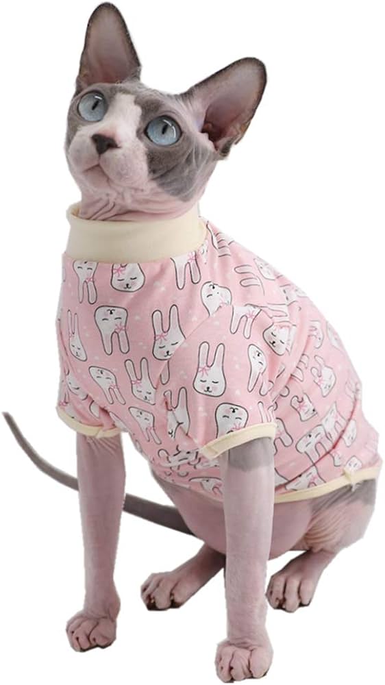 clothes for hairless cats