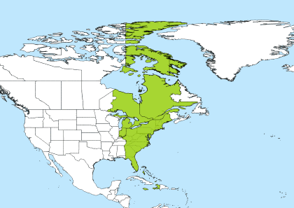 10am central to eastern