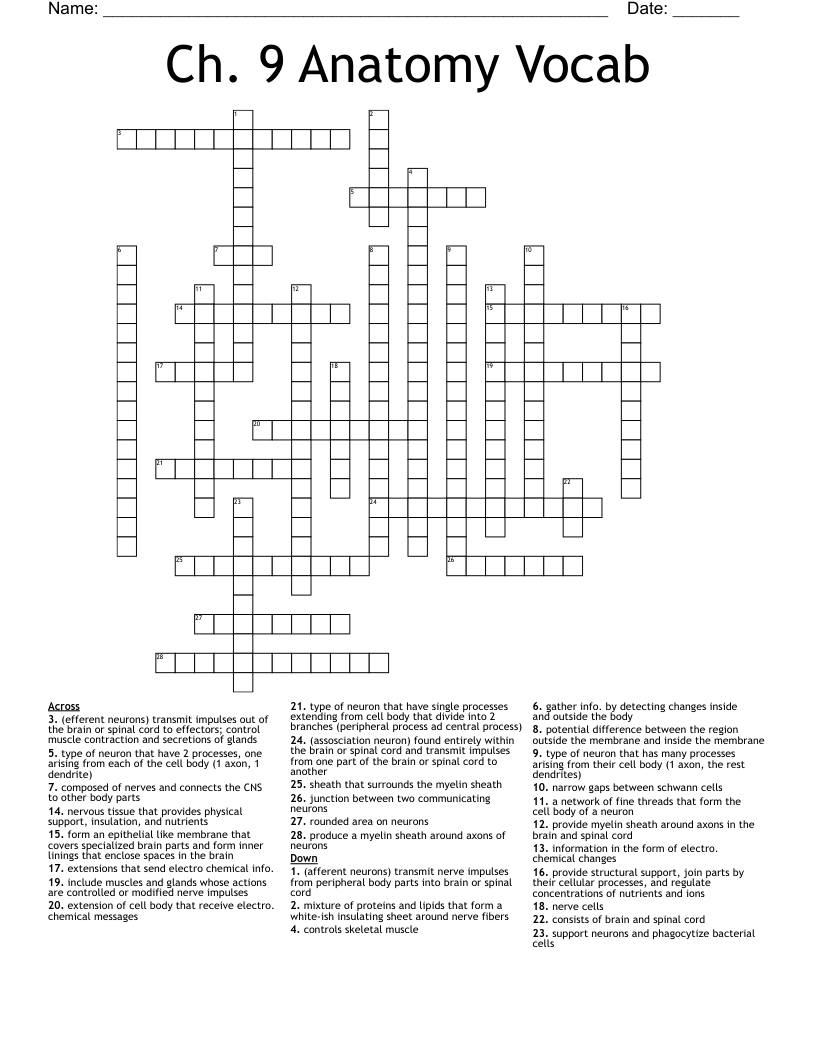 brain tissue crossword clue