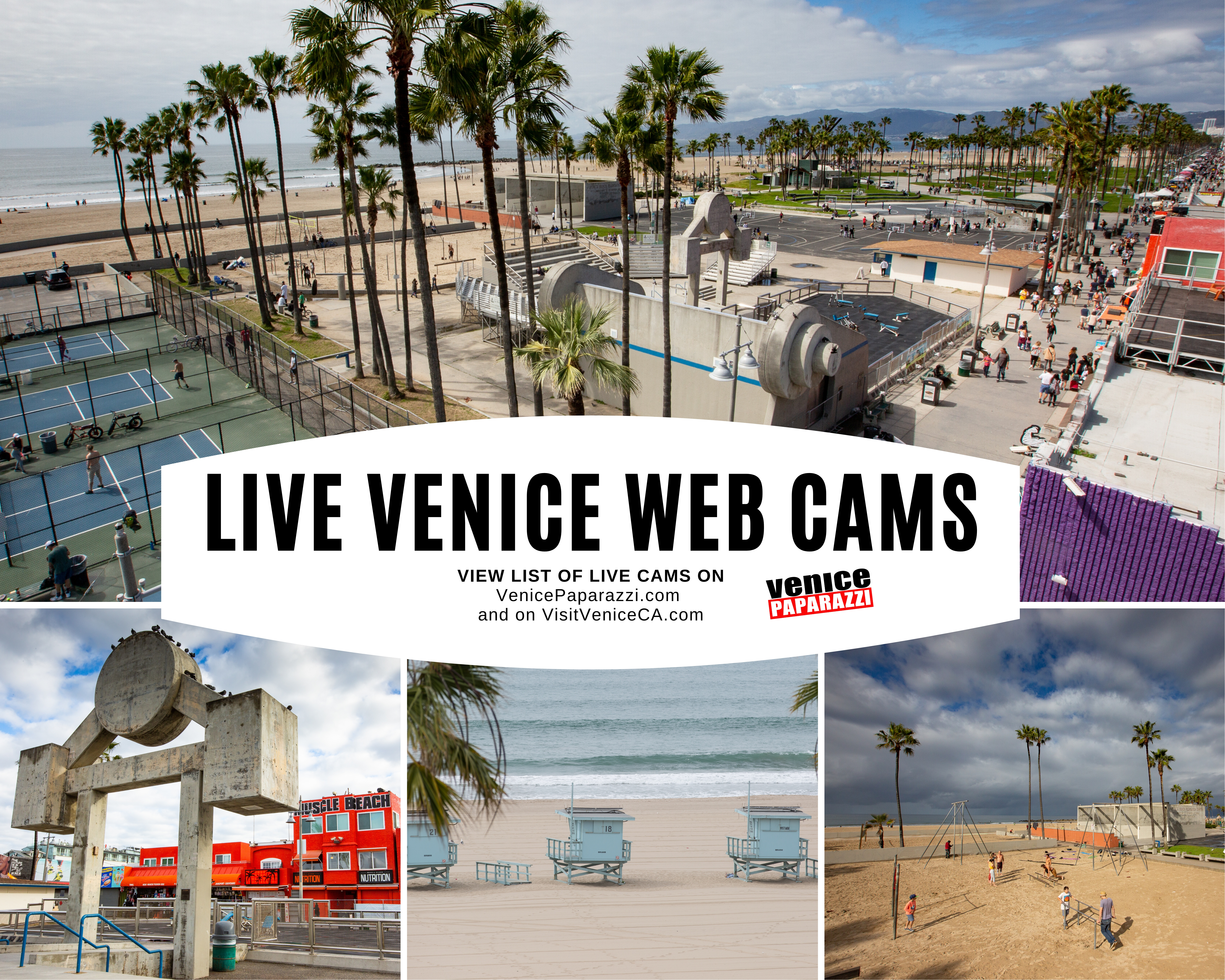 venice ca webcam