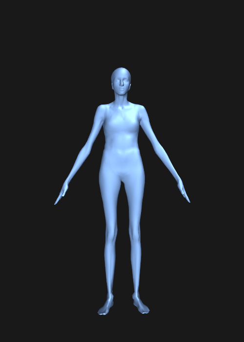 body visualizer female
