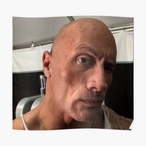 the rock sus meme