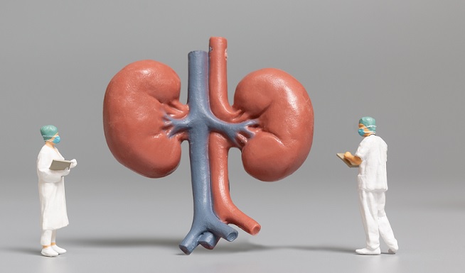 nephrology near me