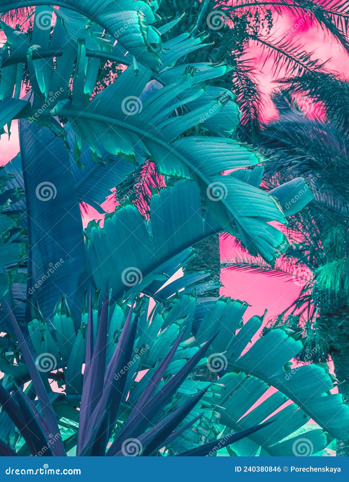 aesthetic palm tree wallpaper