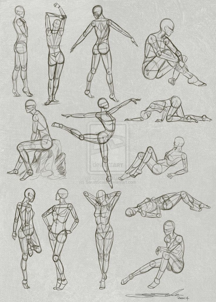 human figure poses