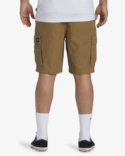 billabong cargo shorts