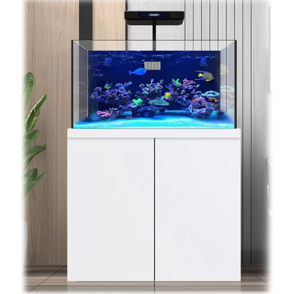 100 gallon fish tank