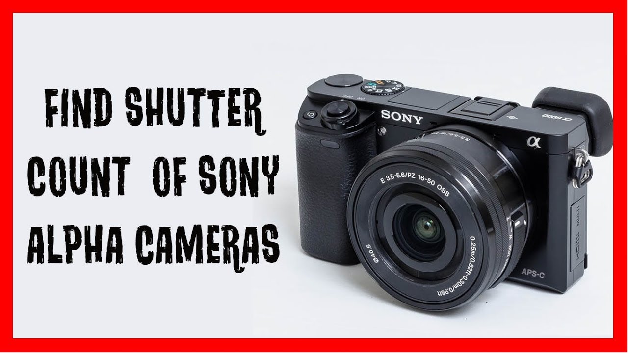 check shutter count sony a6000