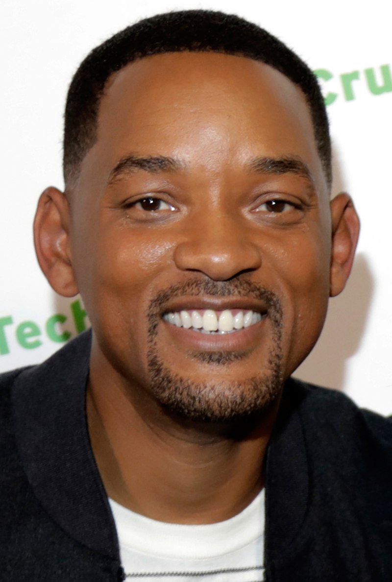 will smith divorce wiki