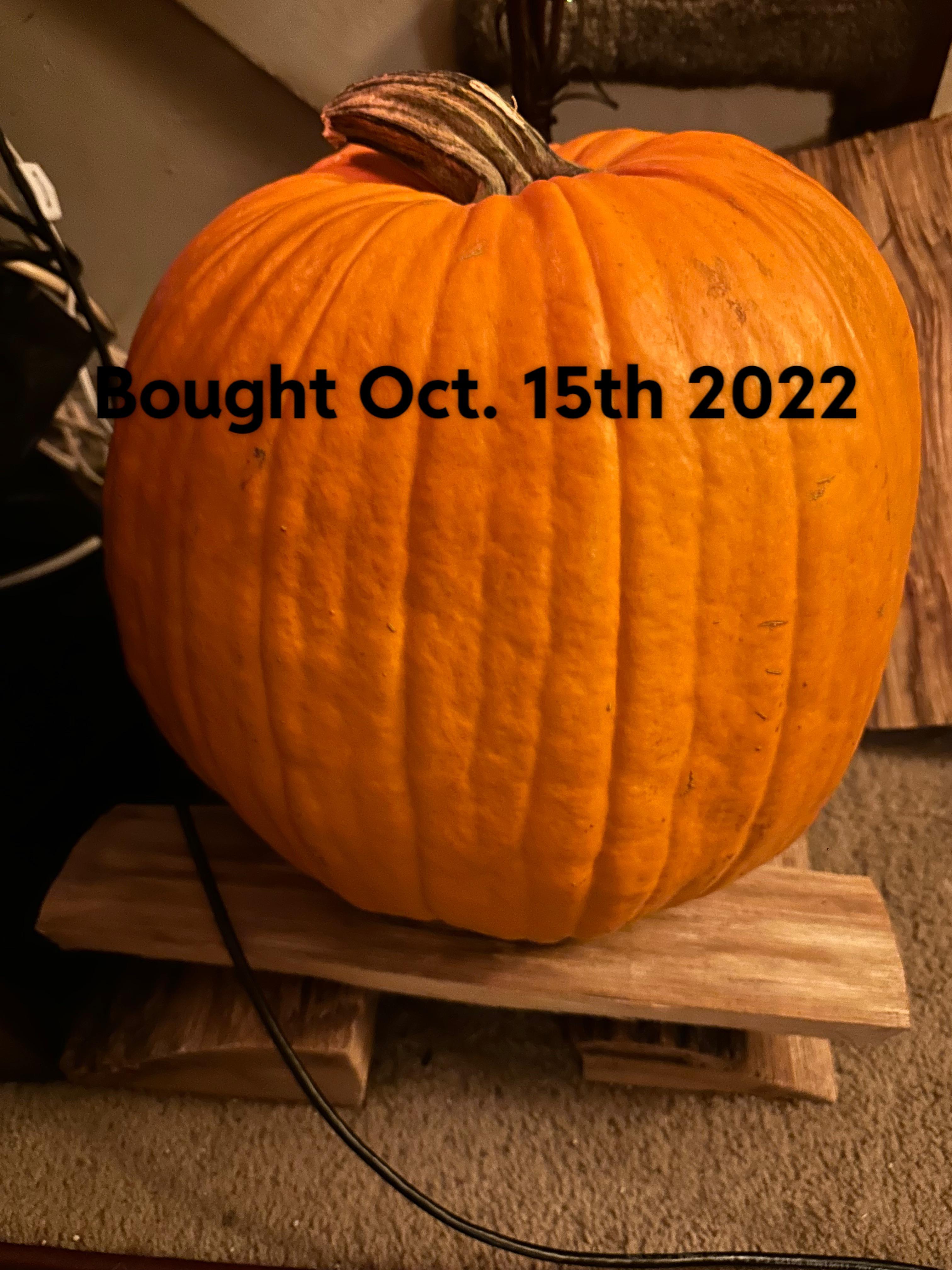 how long do uncarved pumpkins last