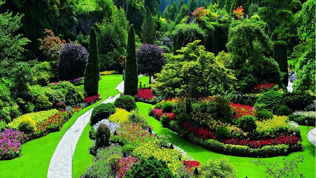 4k hdr video beautiful flower garden in canada