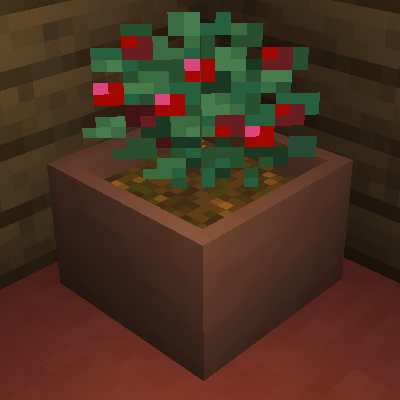 botany pots