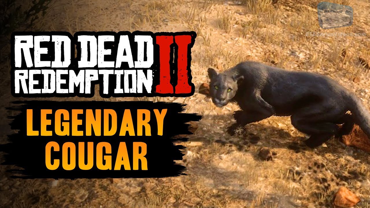 rdr2 legendary cougar