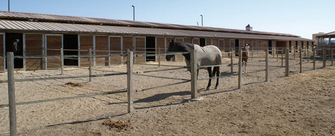 horse guard fencing