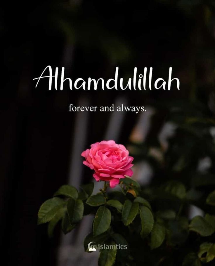 alhamdulillah cute quotes