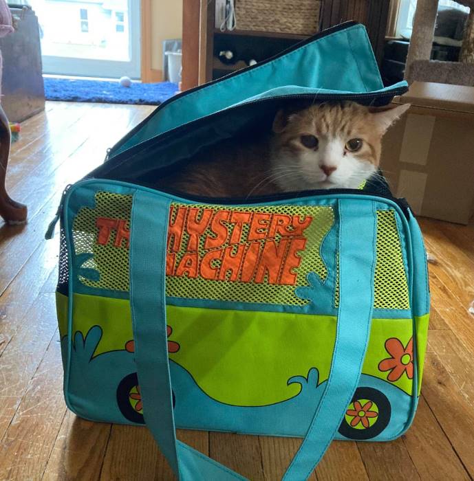 scooby doo cat carrier