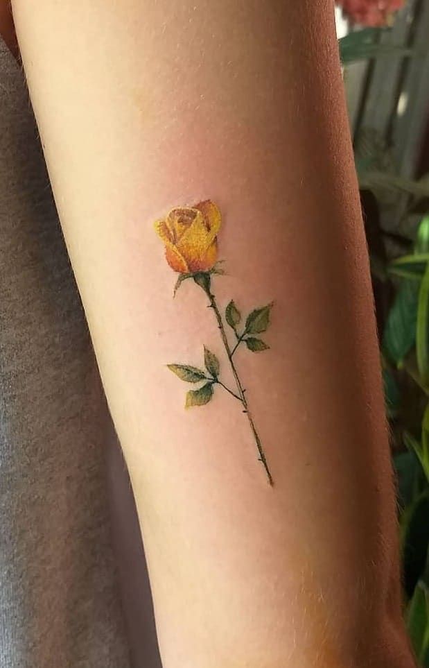 yellow rose tattoo